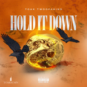 Album Hold It Down (Explicit) from TOAK TwoOfAKind