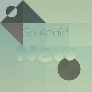 Splendid New dari Various