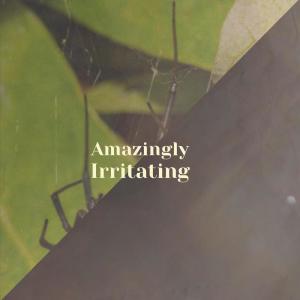 Album Amazingly Irritating oleh Various