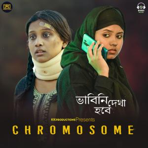 Listen to Bhabini Dekha Hobe | Chromosome Title Song song with lyrics from Sourav Sarkar