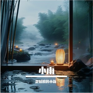 Listen to 小雨 (cover: 黄龄) (完整版) song with lyrics from 楚姑娘的小新