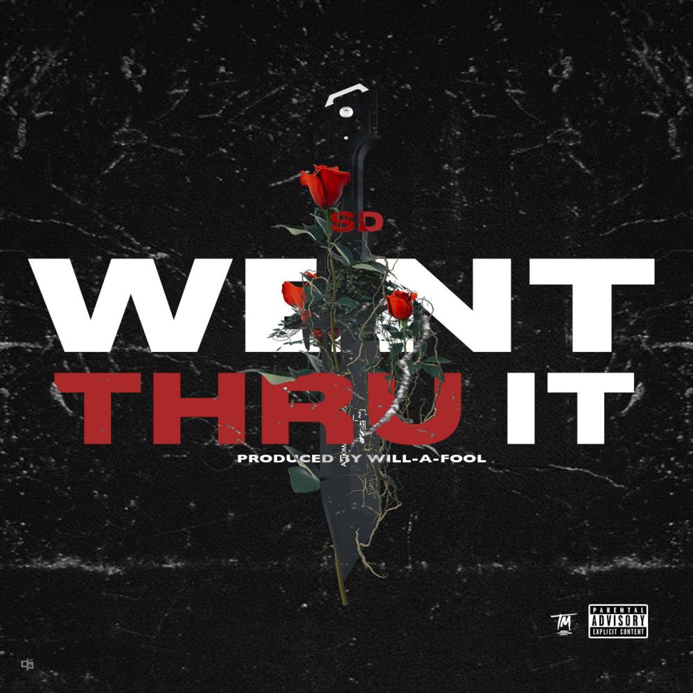 Went Thru It (Explicit)