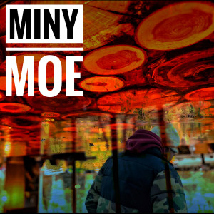 Album Miny Moe from JDM VIBE