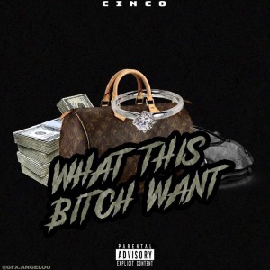 ดาวน์โหลดและฟังเพลง What This Bitch Want พร้อมเนื้อเพลงจาก Cinco