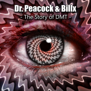 收听Billx的The Story of DMT歌词歌曲