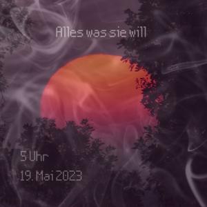 Stroke的专辑Alles was sie will