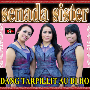Dengarkan Dang Tarpillit Au Di Ho lagu dari Senada Sister dengan lirik