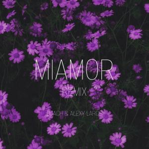 Album Mi Amor (Dj Agh Remix) from Dj Agh
