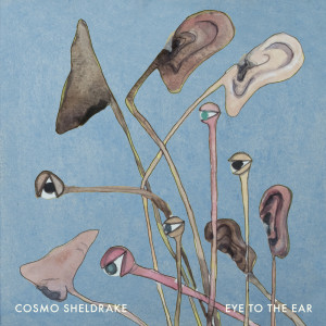 อัลบัม Eye To The Ear ศิลปิน Cosmo Sheldrake