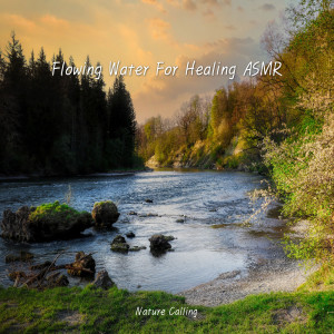 Flowing Water For Healing ASMR