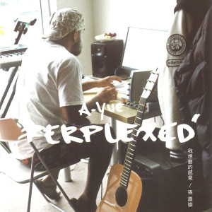 ดาวน์โหลดและฟังเพลง 嗨嗨人生 พร้อมเนื้อเพลงจาก 张震岳