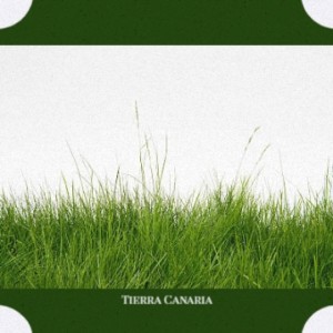 Album Tierra Canaria from Various