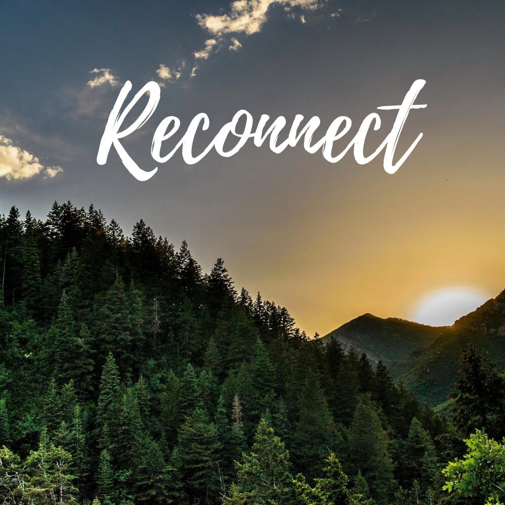 Reconnect