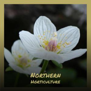 Listen to Later Neither song with lyrics from Gooy Floret