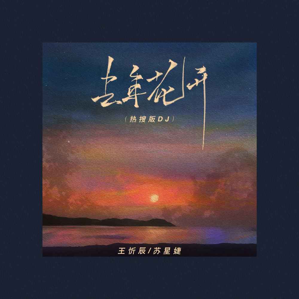 去年花开 (抖音热搜版DJ)