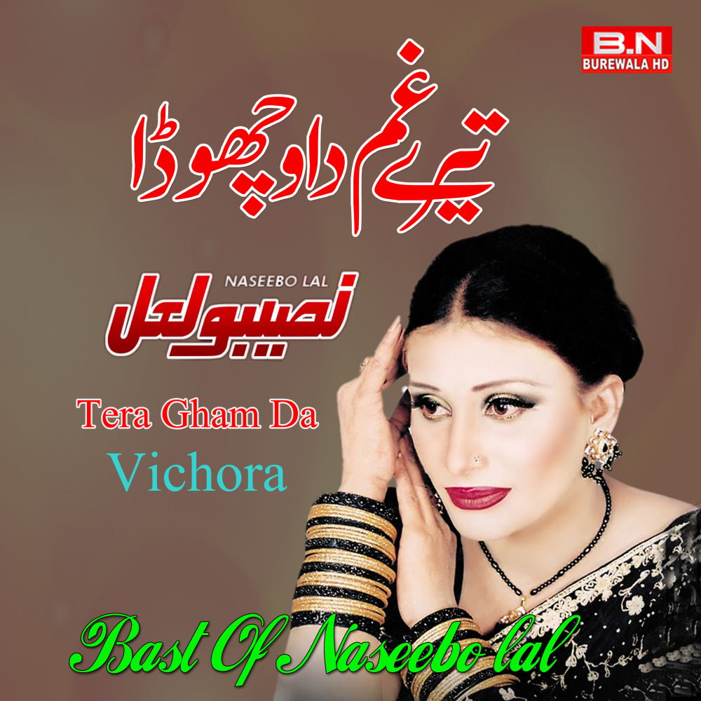 Tera Gham Da Vichora