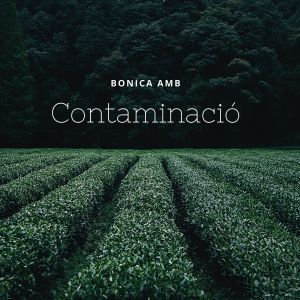 Listen to Contaminació song with lyrics from Neiman