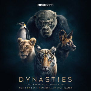收聽Benji Merrison的Far Beyond the Boundary (From "Dynasties")歌詞歌曲