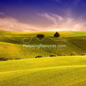 Listen to Chinese Garden song with lyrics from RelaxingRecords