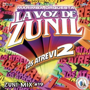 ดาวน์โหลดและฟังเพลง Despacito พร้อมเนื้อเพลงจาก Marimba Orquesta La Voz de Zunil