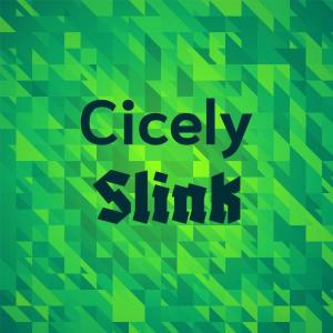 Listen to Housecat Driveway song with lyrics from Pocky Winky