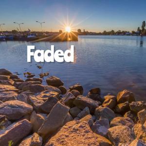 อัลบัม Faded (feat. Grace Carter & Camylio) ศิลปิน Daveeds