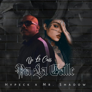 Album De La Calle Pa La Calle (Explicit) oleh Mr. Shadow
