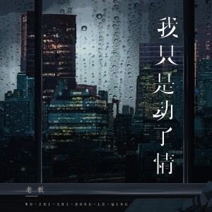 收听老板的我只是动了情歌词歌曲
