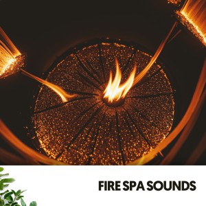 Meditation Music Experience的專輯Fire Spa Sounds: Crackle and Calm