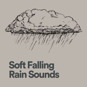 Album Soft Falling Rain Sounds from Nature Sounds