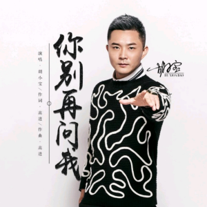Album 你别再问我(DJ小品版) from 