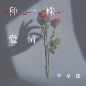 Listen to 种一株爱情 (DJ京仔版伴奏) song with lyrics from 李家鑫