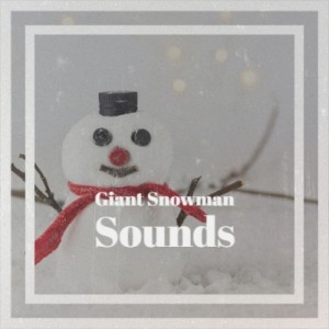 Listen to Santa's Hooked on Country Music song with lyrics from Jimmy Flynn