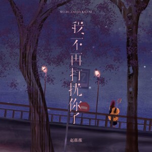 赵薇薇的专辑我不再打扰你了