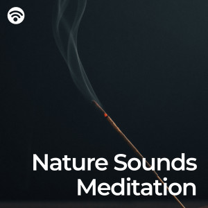 Meditation Nature Sounds的專輯Nature Sounds Meditation: the Relaxing Journey