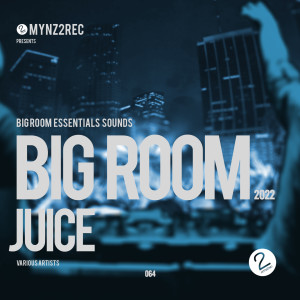 อัลบัม Big Room Juice 2022 (Big Room Essentials Sounds) ศิลปิน Various