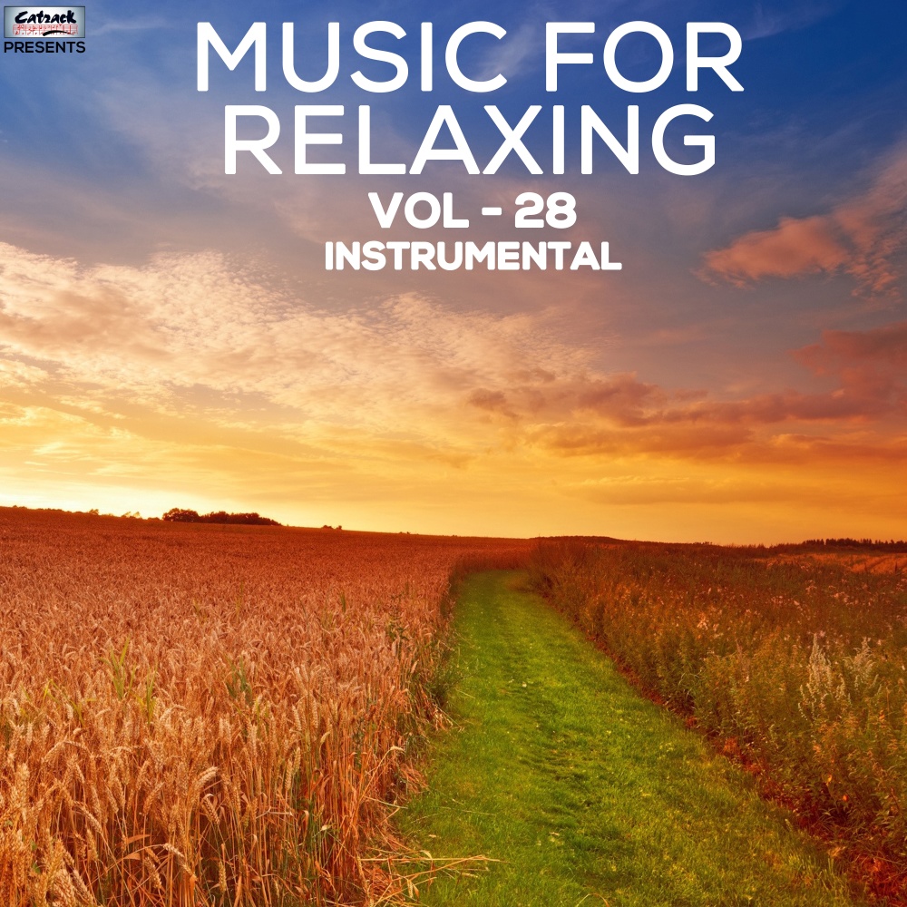Music for Relaxing, Vol. 28