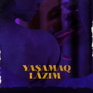 收听Mehdi Sadiq的Yaşamaq Lazım歌词歌曲