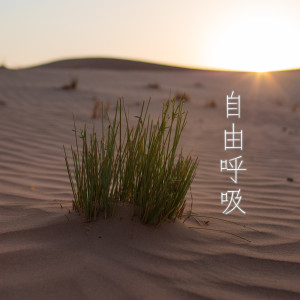 收聽張靚穎的旗開得勝 (Jane Zhang Version)歌詞歌曲