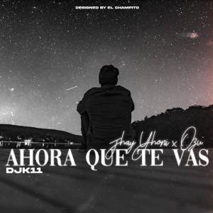 อัลบัม Ahora Que Te Vas (Version Rembow) ศิลปิน DJ K11