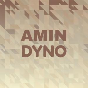 Various Artists的專輯Amin Dyno