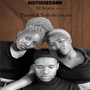 Pamella的專輯Ndiyinkedama (feat. Pamella & Nada the vocalist)