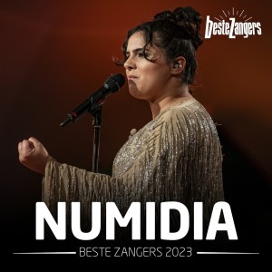 Album Beste Zangers 2023 (Numidia) from Numidia