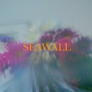 Seawall