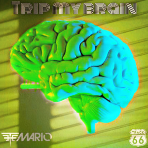 อัลบัม Trip My Brain ศิลปิน The Mario