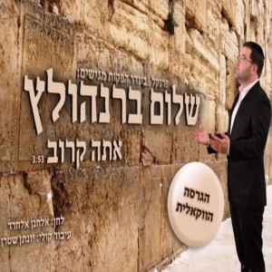Listen to אתה קרוב - ווקאלית (ווקאלית) song with lyrics from שלום ברנהולץ
