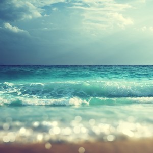收听Sounds of Nature Zone的Beach Relaxation歌词歌曲