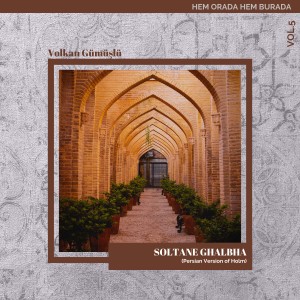 Listen to Soltane Ghalbha (Persian Version Of Holm) song with lyrics from Volkan Gumuslu