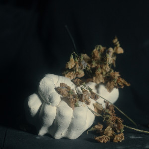 收聽Pain Magazine的Dead Meat歌詞歌曲