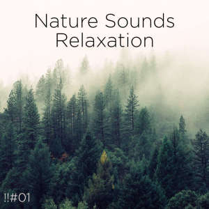 Nature Sounds Nature Music的專輯!!#01 Nature Sounds Relaxation